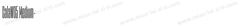 CalaW05 Medium字体转换